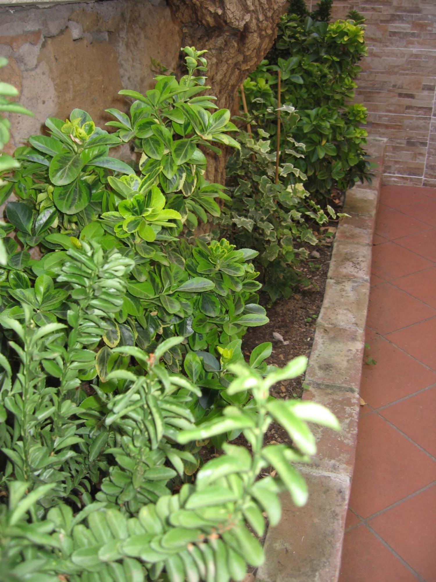 Gianicolense Suite-apartment * Roma
